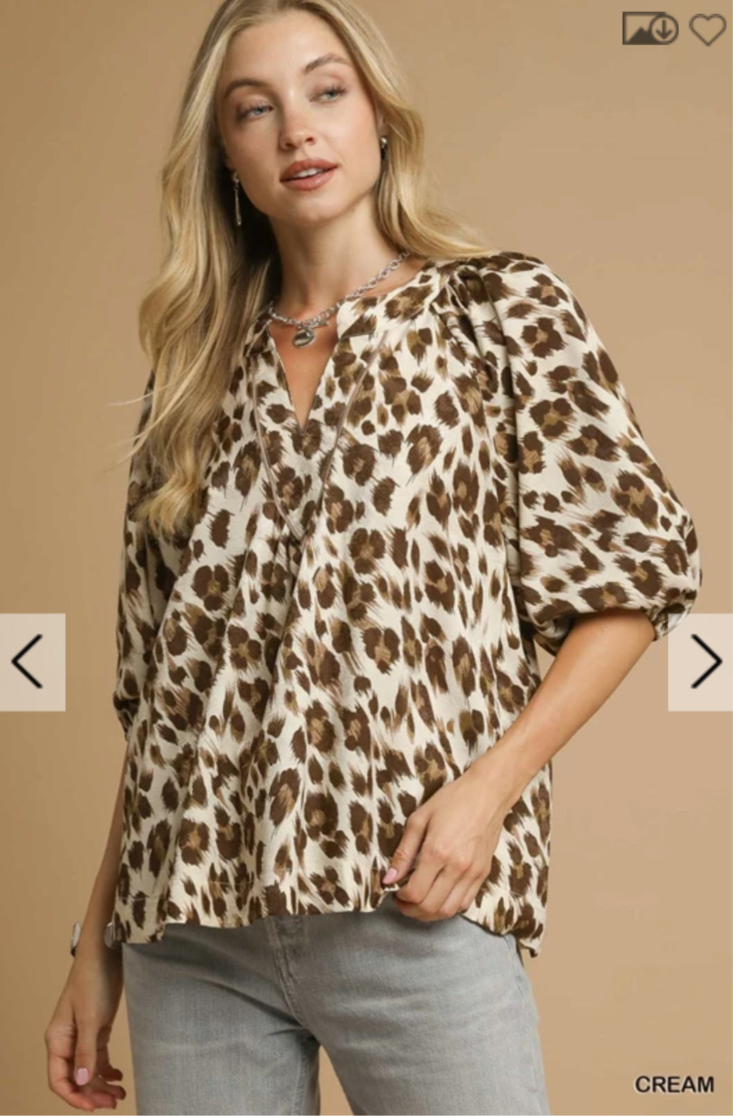 Leopard Print V-Neck Blouse
