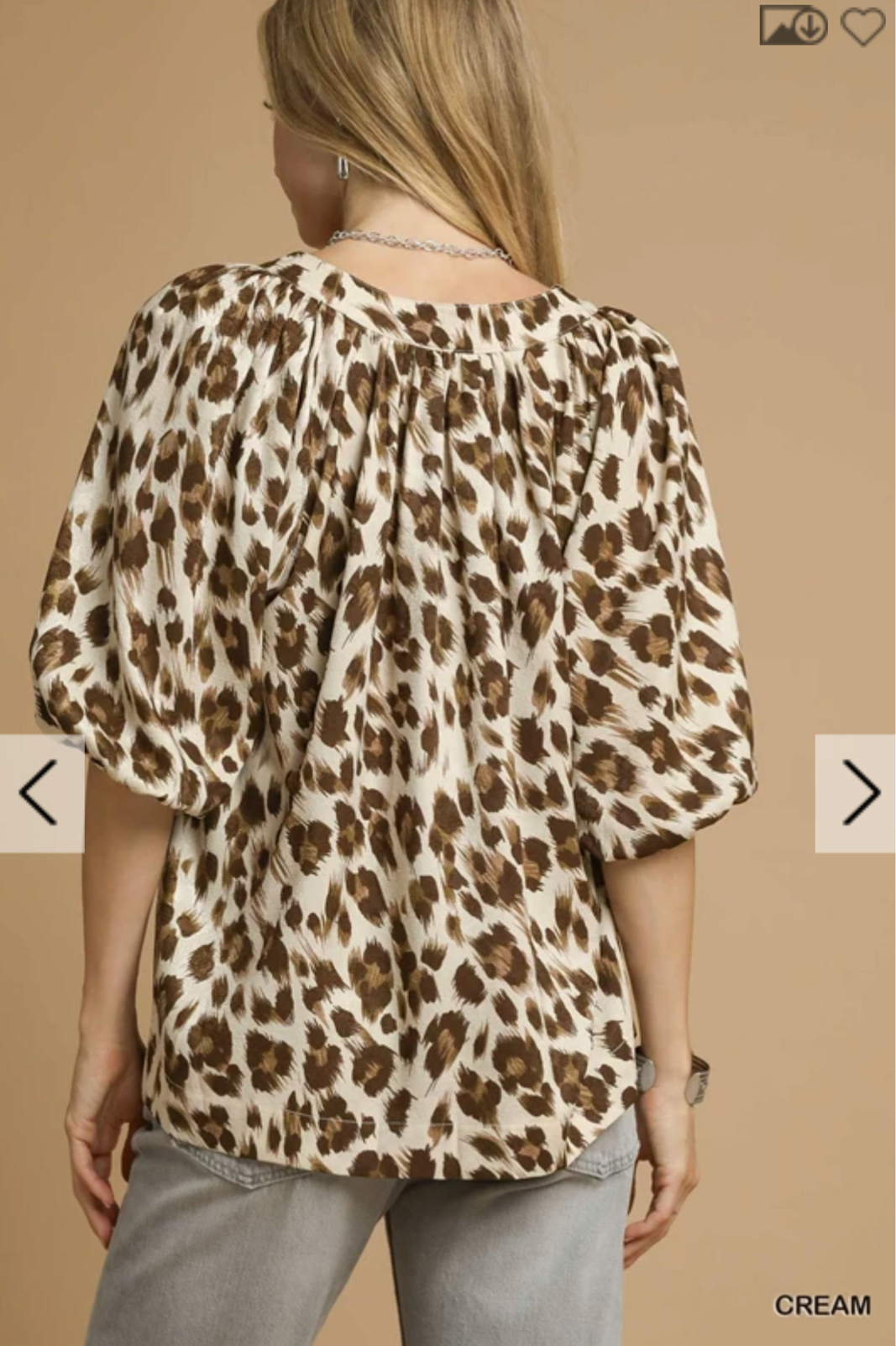 Leopard Print V-Neck Blouse