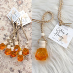 Spring Car Diffusers